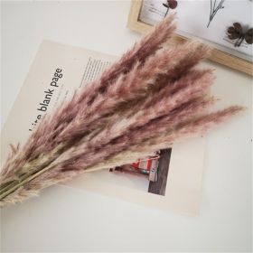 Dried Flowers Pampas Grass Mixed Bunny Rabbit Tail Lagurus Bouquet Wedding Christmas Decoration Natural Reed Flower Home Decora (Color: natural pampa)