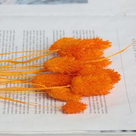 Dried Flowers Pampas Grass Mixed Bunny Rabbit Tail Lagurus Bouquet Wedding Christmas Decoration Natural Reed Flower Home Decora (Color: Gem orange)